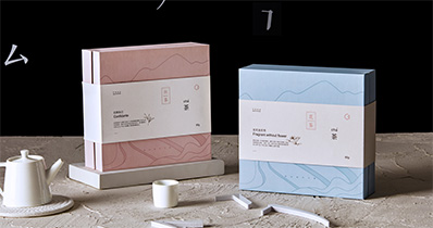 Packaging bag design_packing gift box design_shenzhen packaging design company